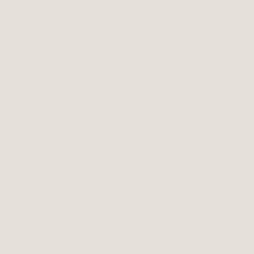 Neutral Paint <em>*Color & Tone may vary</em>