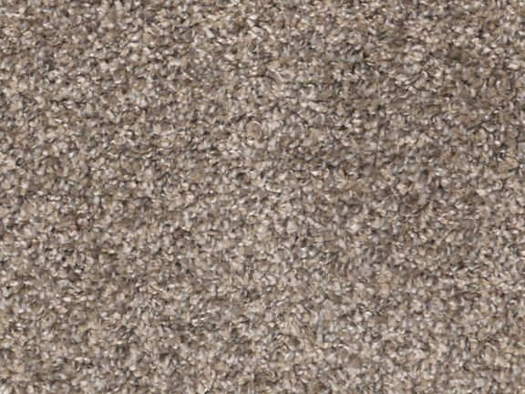 Neutral Carpet <em>*Available only in multi-section homes</em>